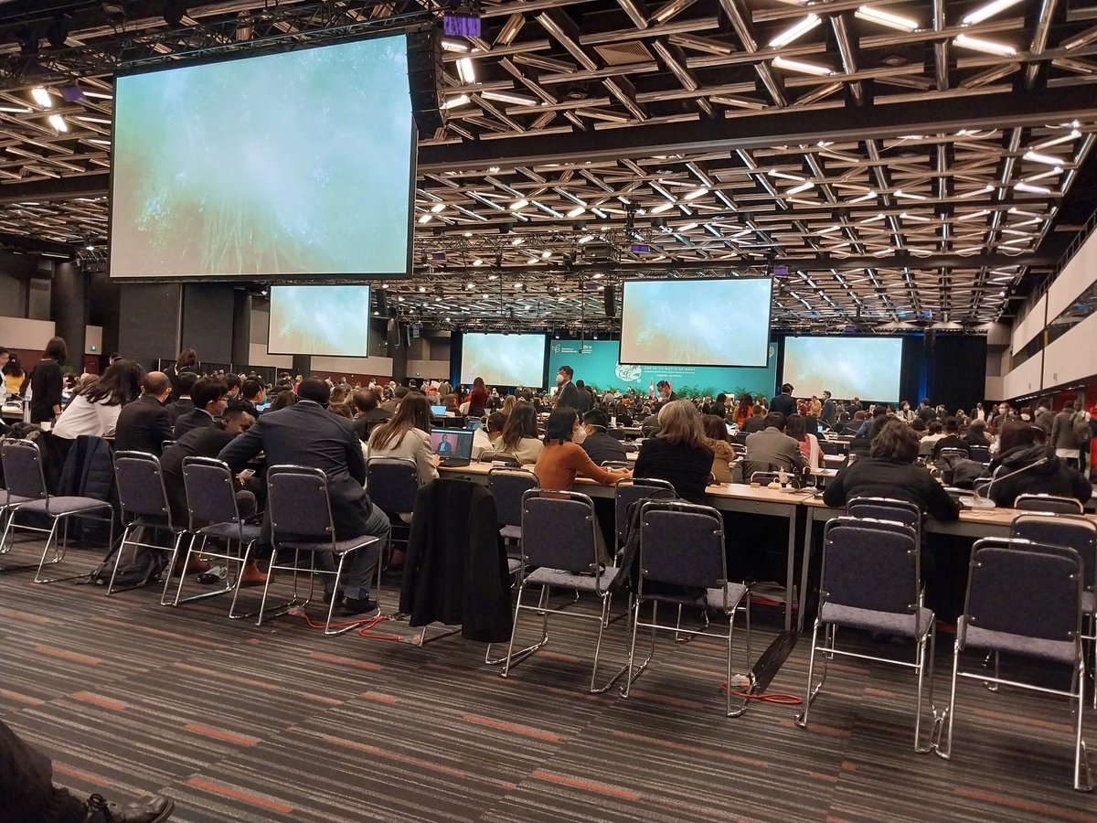 Dr Topo Aimé tweet media