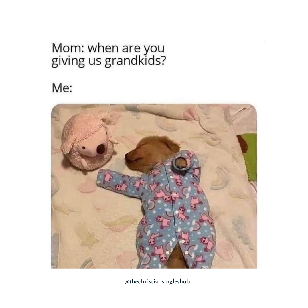 csingleshub's tweet photo. An actual picture I would send my mom if she asked me for grandchildren, anyone else? https://t.co/IVUdkyql8o