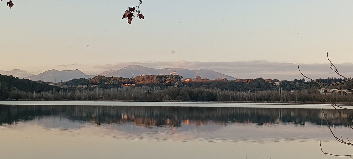 Quimlluis's tweet photo. Reflexes https://t.co/FrGm4wRL9r