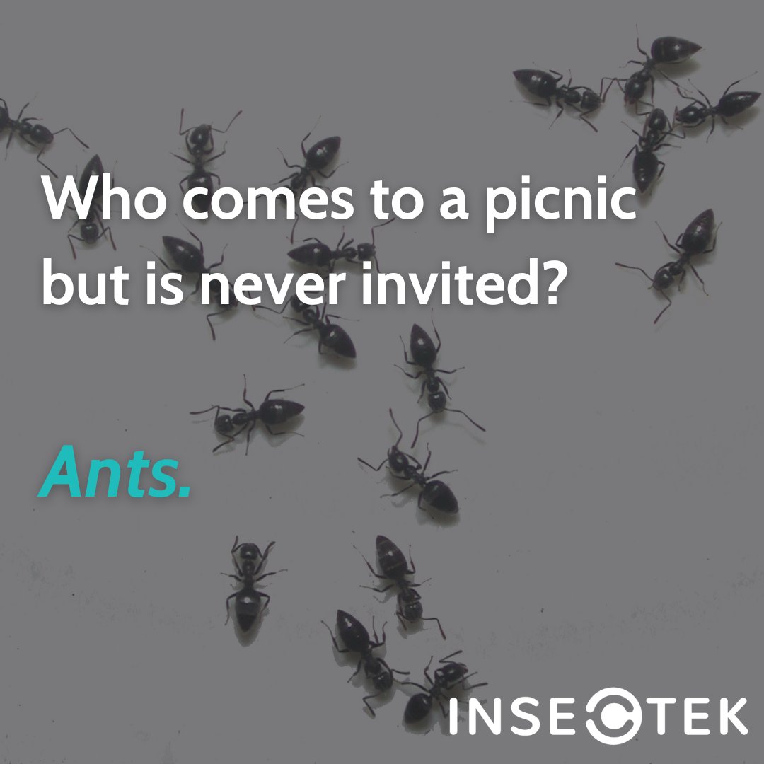 We think this joke is brilli-ant!! 😀😂
.

.

.
#DCRanch #livingconnectedDCR #mcrhomes #mccormickranch #vistancia #verrado #eastmark #scottsdale #mesa #northphoenix #gilbert #tempe #chandler #peoria #glendale