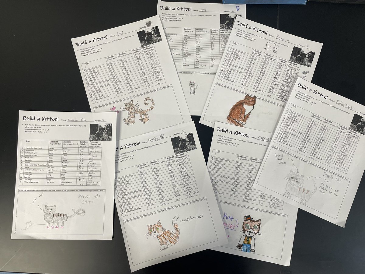 Robyn Moyer-Sacke tweet media