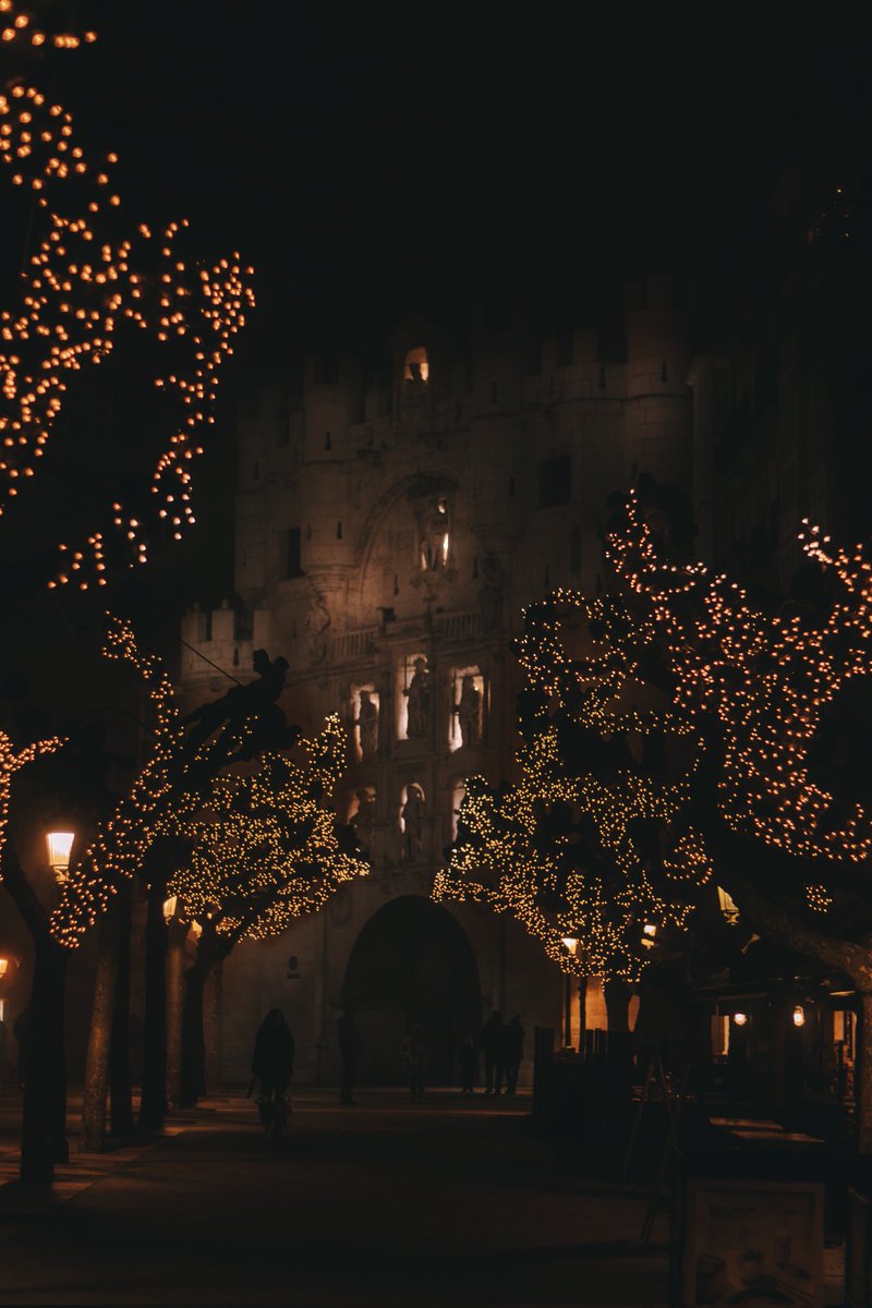 mariahuido's tweet photo. Día de Reyes y niebla https://t.co/HQLFVebupf
