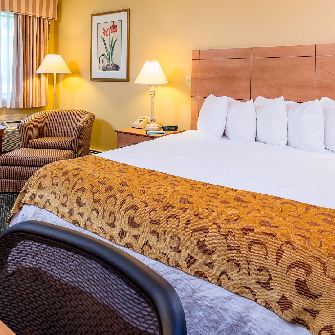 BestWesternVT's tweet photo. Our New Year's resolution is to travel more (pretty obvious) but in all seriousness we are looking forward to seeing you in 2023.  ✈️ 🛅 🚋 
#resolutions #vermont #travel #newengland #fun https://t.co/Z9DZLeJgX6