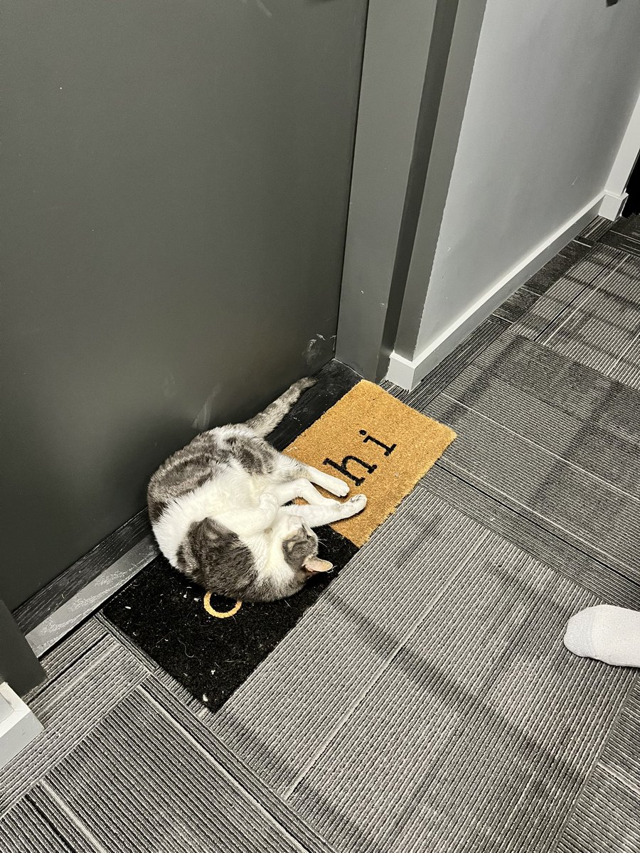 Anthony Oliveira tweet media