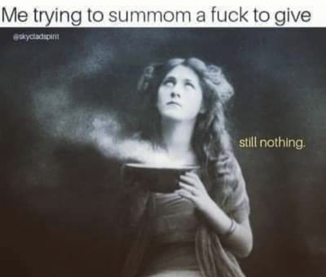 CAMPBIZZLE tweet media