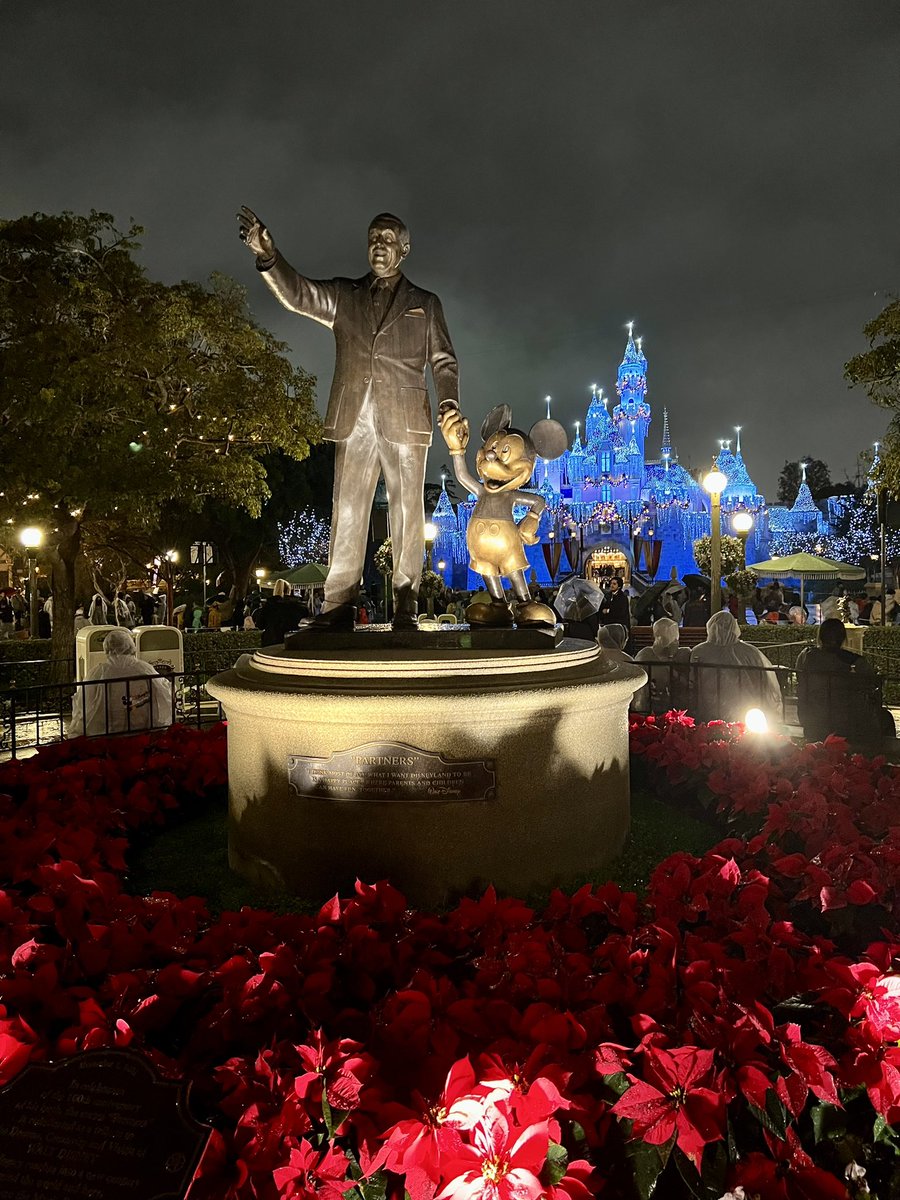 CaffeineCub's tweet image. Disneyland in the rain hits different 🌧️
