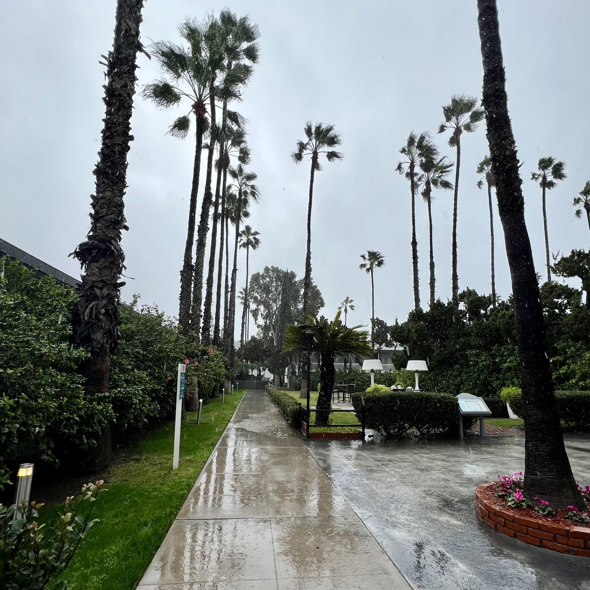 CaffeineCub's tweet image. Disneyland in the rain hits different 🌧️