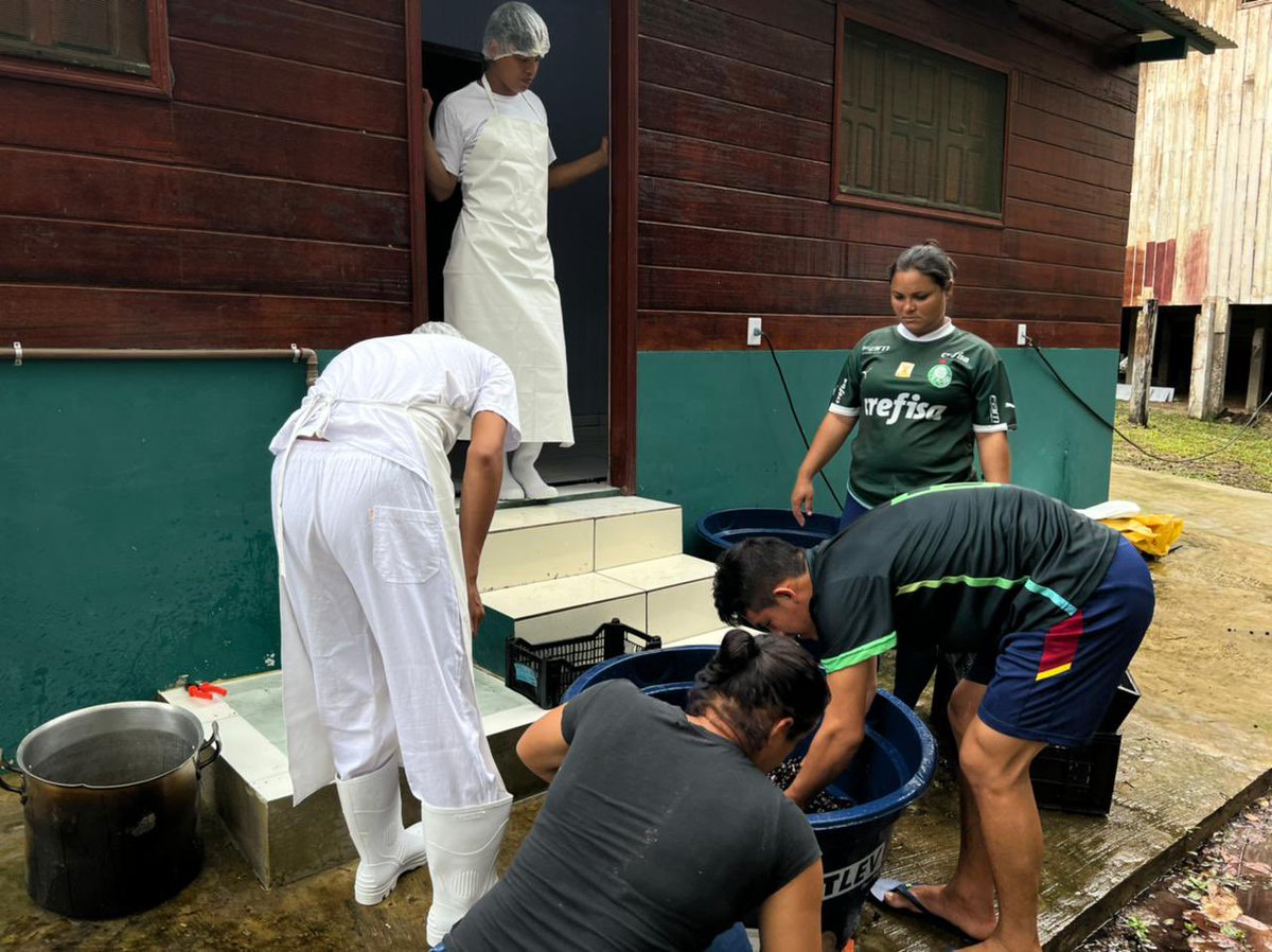 Francisco Piyãko (@franciscopiyako) on Twitter photo Esse dia tem que ser marcado como um dia muito especial nos avanços dos trabalhos de produção da <a href="/apiwtxa/">Ashaninka Apiwtxa</a>. Estamos industrializando frutos e polpas de frutas! Esse dia tem que ser marcado como um dia muito especial nos avanços dos trabalhos de produção da <a href="/apiwtxa/">Ashaninka Apiwtxa</a>. Estamos industrializando frutos e polpas de frutas!