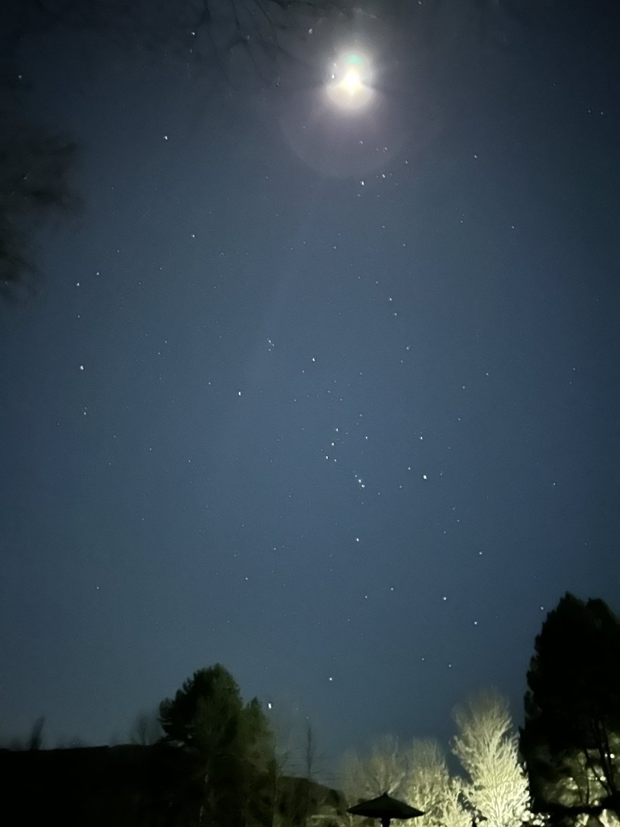 Olga Serikova tweet media