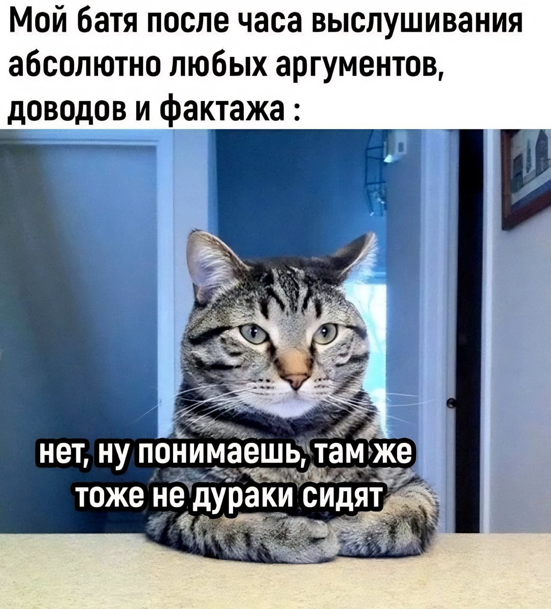 Двач on Twitter: