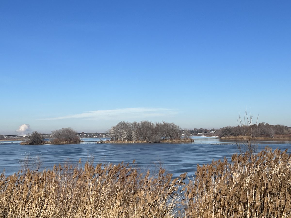 City of Richland, WA tweet media