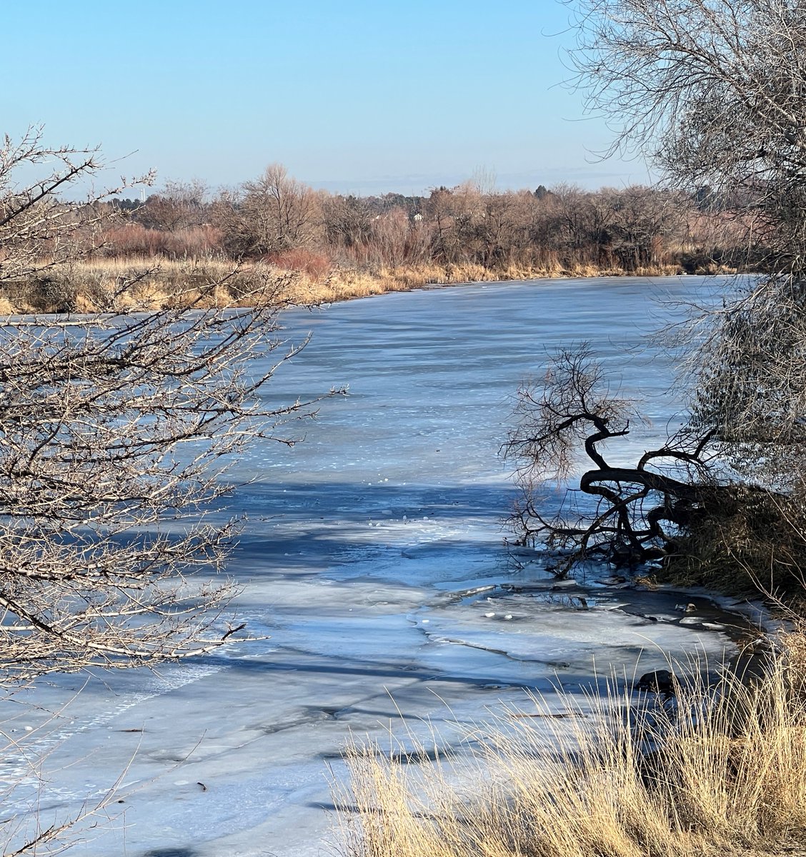 City of Richland, WA tweet media