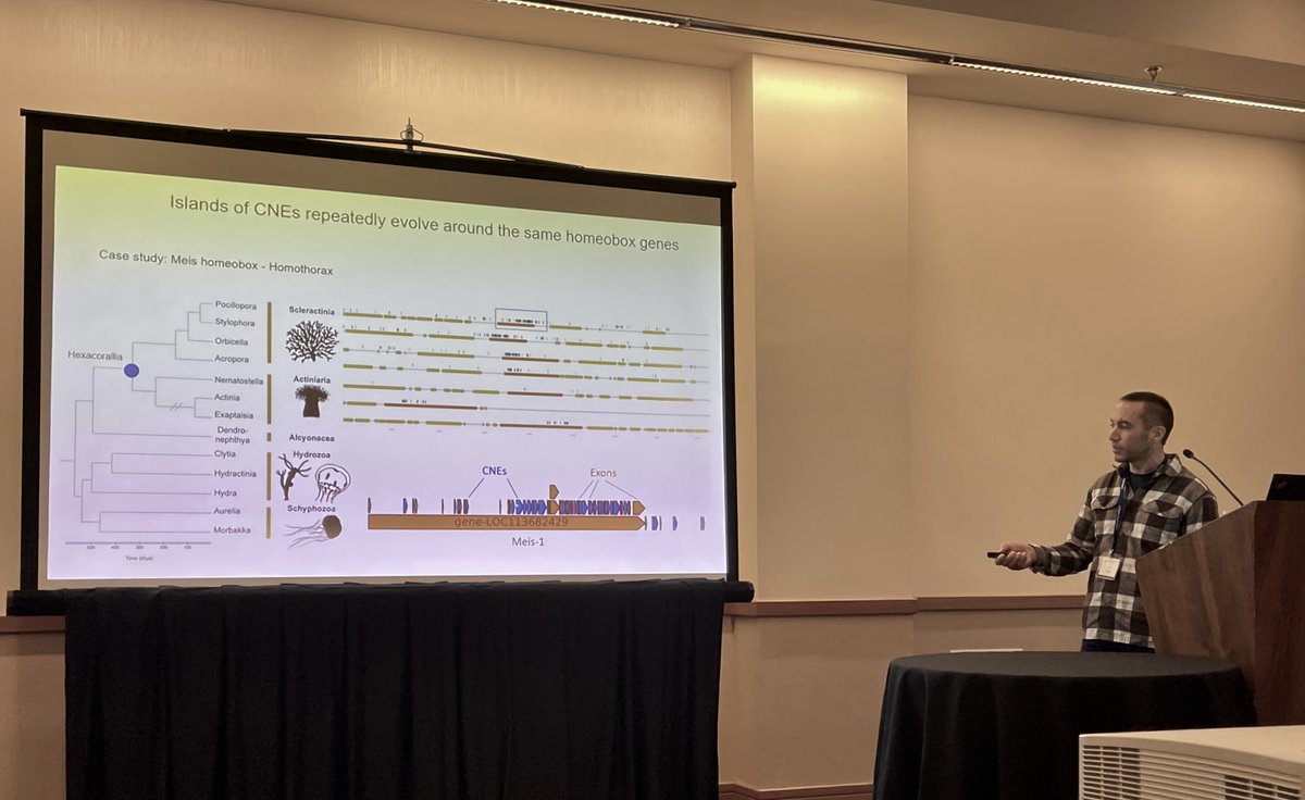 Paul Gonzalez from our lab <a href="/genome_gov/">National Human Genome Research Institute</a> <a href="/IRPatNIH/">NIH Intramural</a> presenting his work on the evolution of non-coding elements associated with homeobox genes at #SICB2023 – an extremely computationally intensive study that wouldn't have been possible without being #PoweredByBiowulf!  @NIH_HPC
