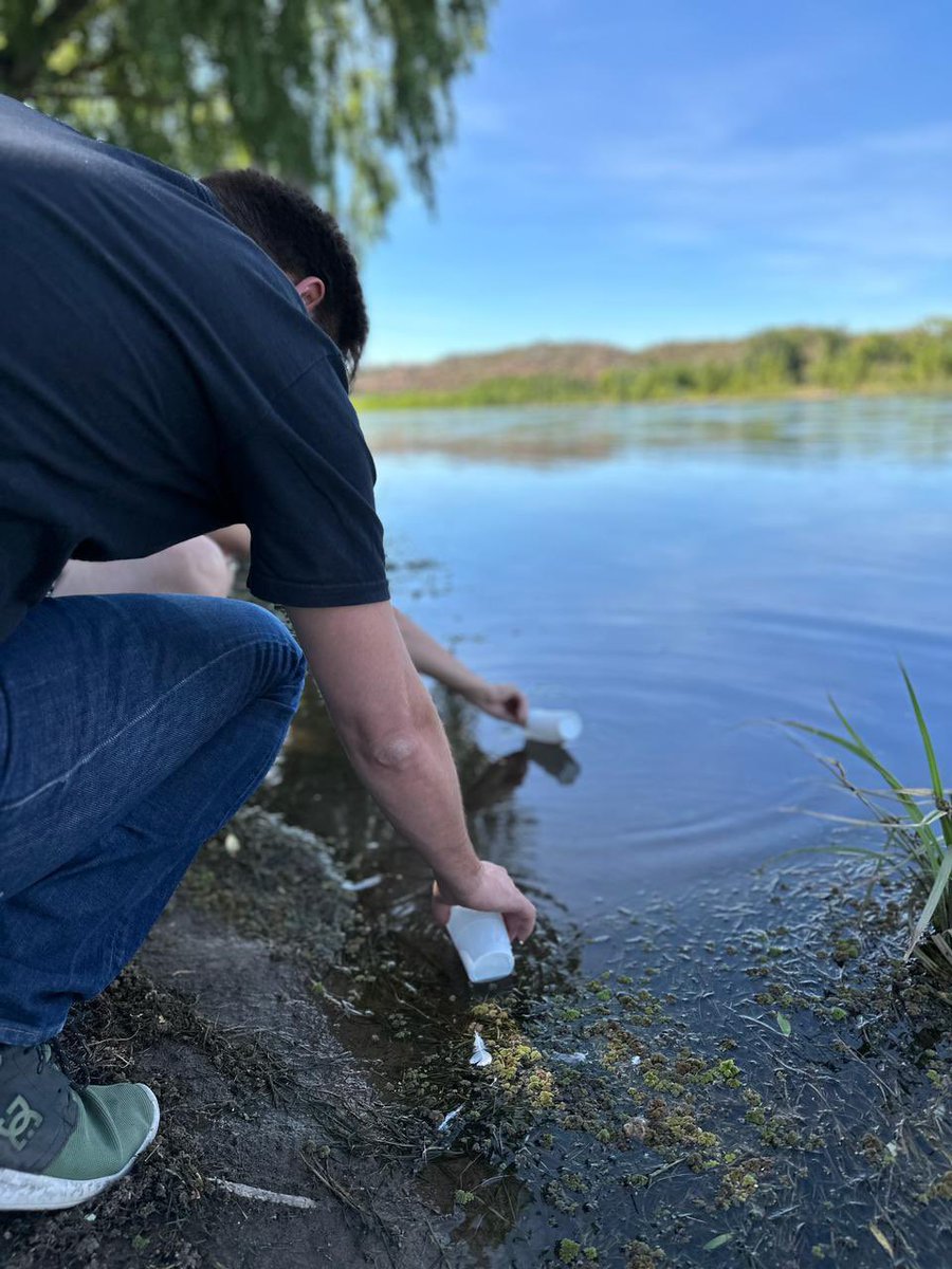 RodrigoButeler's tweet photo. #Cipolletti Estamos recuperando la población de peces en el río Negro, acompañamos la siembra de 150 mil alevines de trucha arco iris en #IslaJordan, un gran evento que además contó con charlas informativas de la Mesa de Pesca del Alto Valle. https://t.co/HsbITJaohw