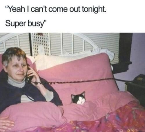 introvertsmemes's tweet image. Me