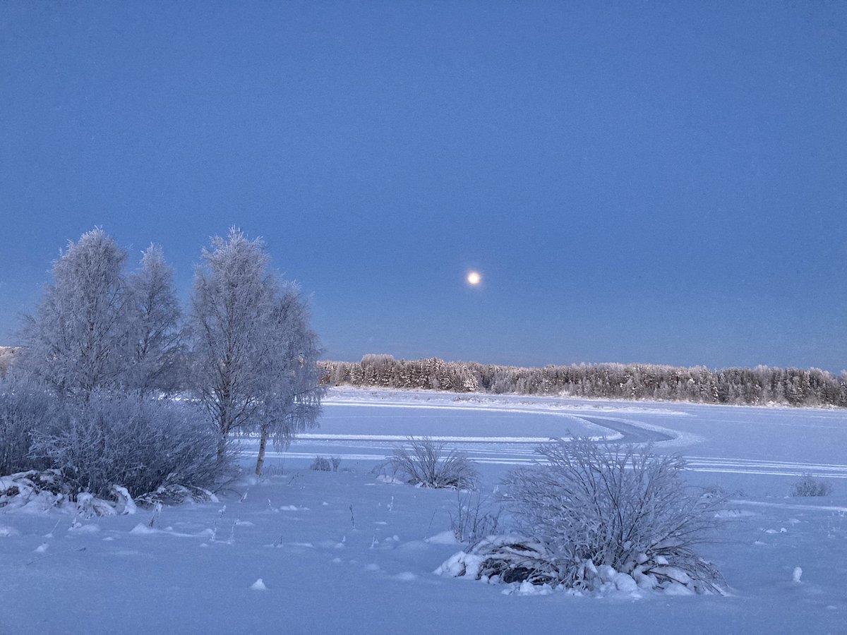 Loppiainen #nature #winter #Tornedalen #Torneälv  #Pajala #lapland