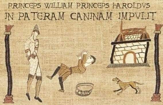 Gingernuts73's tweet photo. #PrinceHarryhasgonemad https://t.co/7CXgAx3UxI