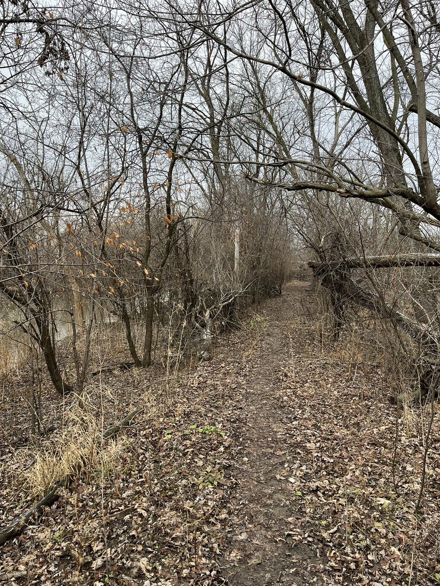 TDTony's tweet photo. Took an hour long ruck through the woods with 25lbs of sand in my backpack, it was cool.

So much fallen timber, following deer trails, etc Nature’s obstacle course!

#DDChallenge https://t.co/VYYbj1e468