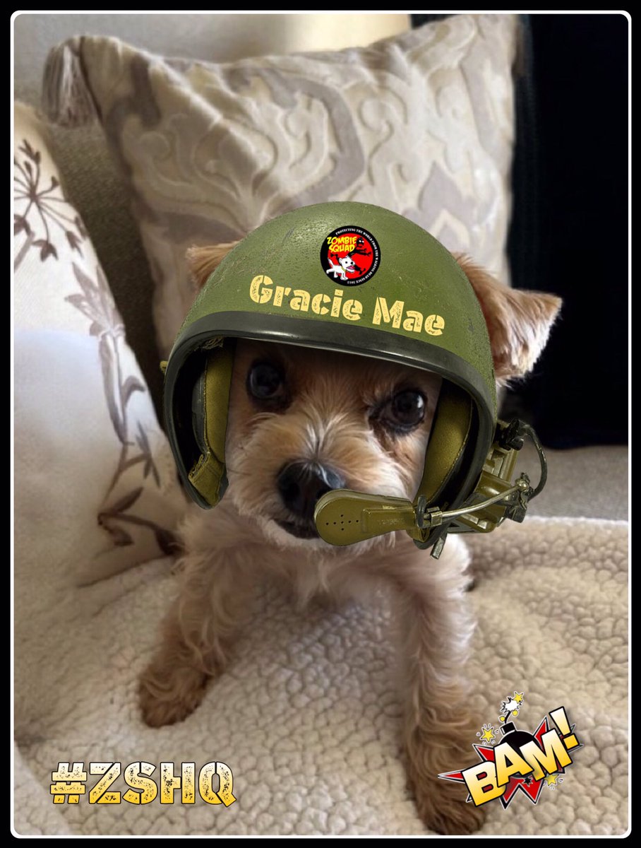 Gracie Mae 🐾🐶 tweet media