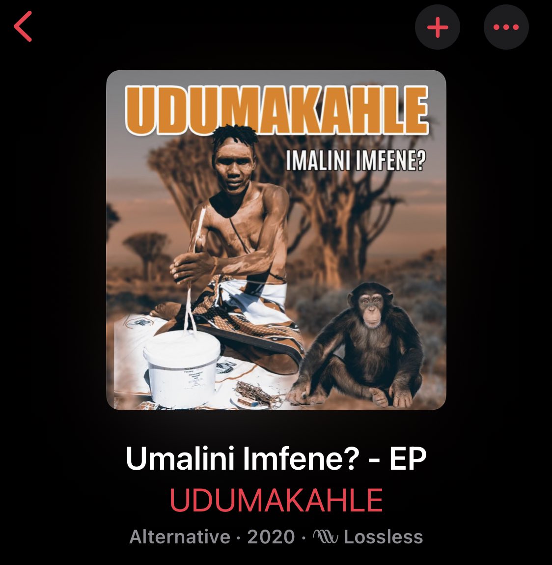 STREPTOCOCCUS NIGGARUS tweet media