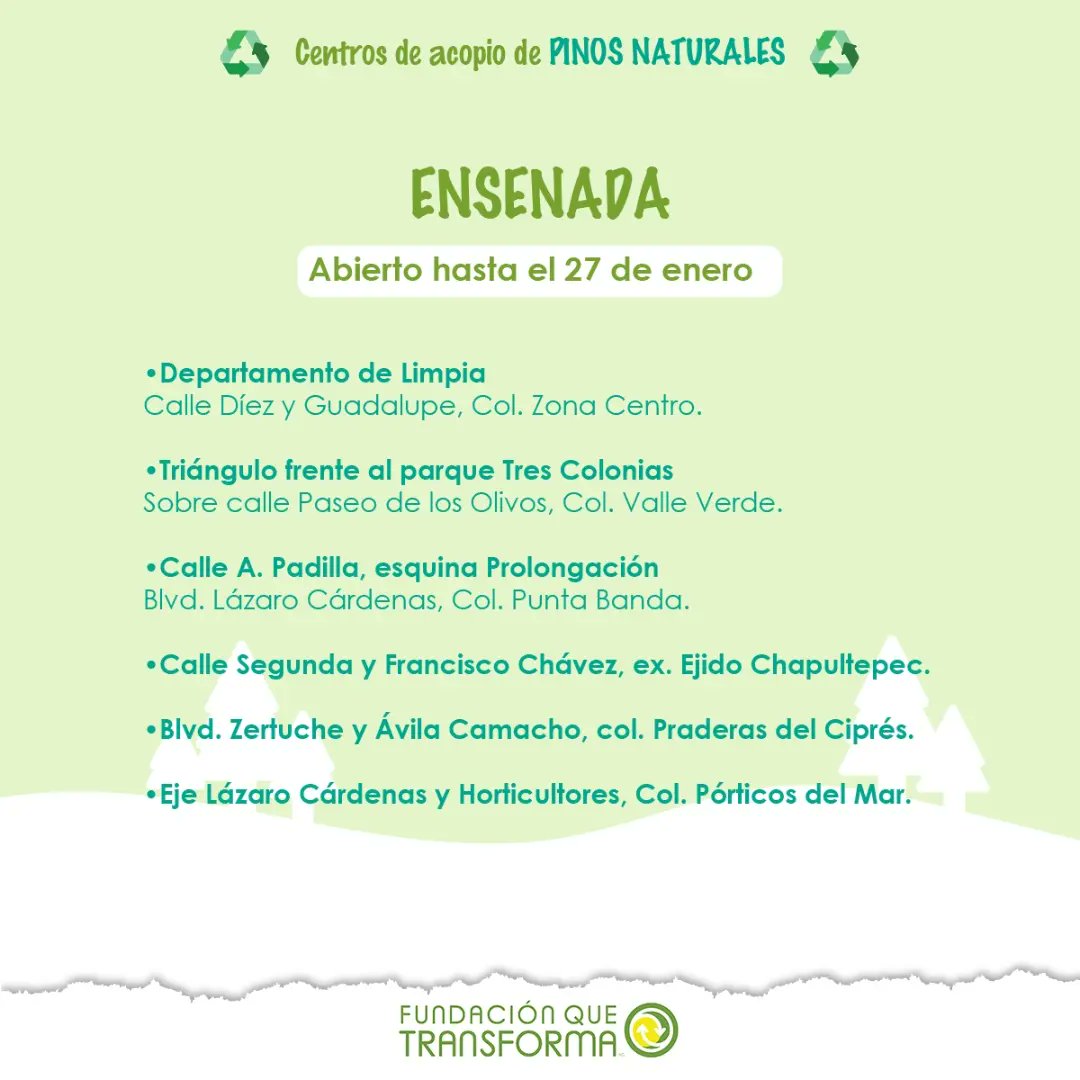 FQTransforma's tweet photo. Conoce los distintos centros de acopio de pinos naturales en Tijuana, Ensenada, Mexicali y Playas de Rosarito. 🌲♻️ 

 ¡Súmate! Somos más #CiudadanasConscientes y #CiudadanosConscientes https://t.co/uetRthFCS5