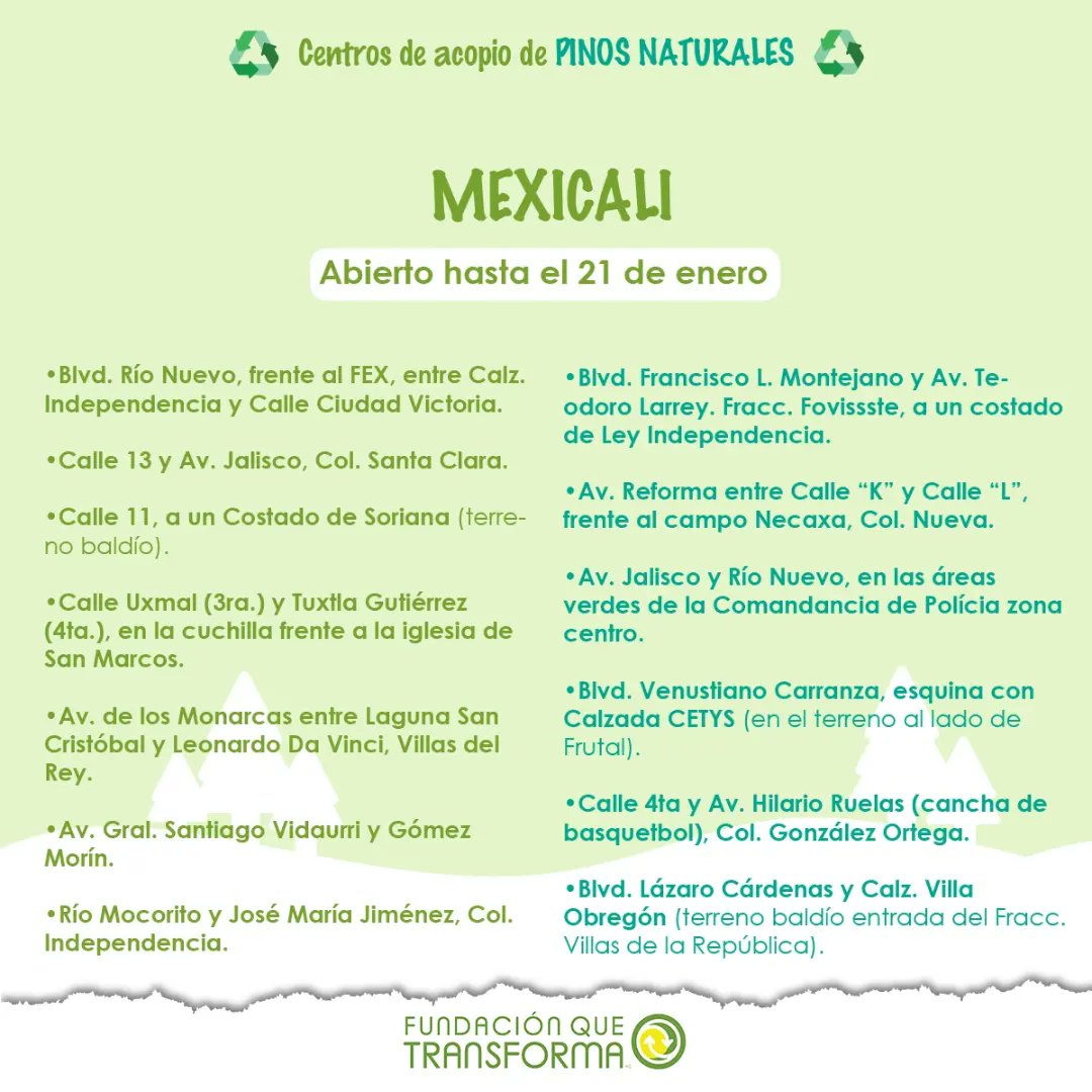 FQTransforma's tweet photo. Conoce los distintos centros de acopio de pinos naturales en Tijuana, Ensenada, Mexicali y Playas de Rosarito. 🌲♻️ 

 ¡Súmate! Somos más #CiudadanasConscientes y #CiudadanosConscientes https://t.co/uetRthFCS5
