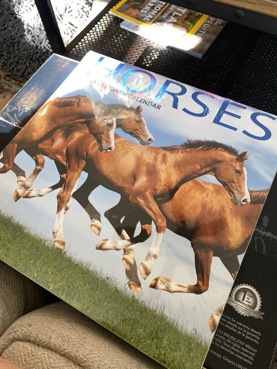 TrakehnerEq's tweet photo. happy to announce that i was once again blessed with the annual default “horse girl” christmas gift https://t.co/ocyFjpG9Gv