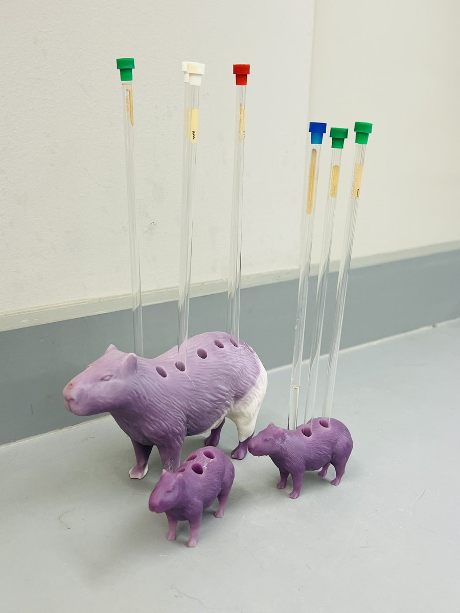 Lauren Murray (@laurenammurray) on Twitter photo Love my new NMR tube holder family! Inspired by <a href="/NAR_LAB_UCSD/">N. Romero Lab at UCSD</a> #capybara #NMRtubeholder Love my new NMR tube holder family! Inspired by <a href="/NAR_LAB_UCSD/">N. Romero Lab at UCSD</a> #capybara #NMRtubeholder