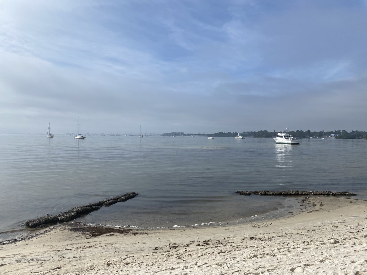 Juleen R. Zierath tweet media