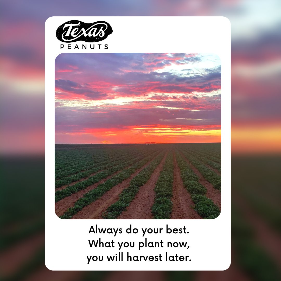 Excited to see more beautiful sunsets in 2023. 
•
•
•
#TexasPeanuts #TexasPeanutProducersBoard