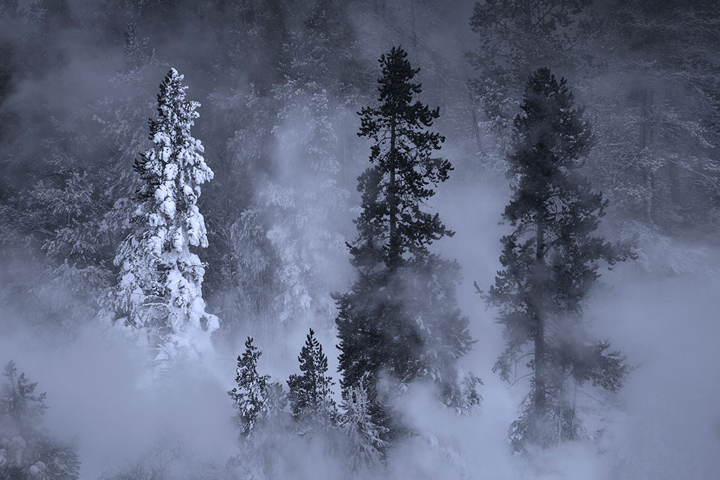 Outdoor Photographer (@outdoorphotomag) on Twitter photo Want to take better winter photos? Pro photographer <a href="/noriegaphoto/">Alex Noriega</a> shares seven ways to make landscapes look like a winter wonderland. ow.ly/sYCI50Mkbpa Want to take better winter photos? Pro photographer <a href="/noriegaphoto/">Alex Noriega</a> shares seven ways to make landscapes look like a winter wonderland. ow.ly/sYCI50Mkbpa