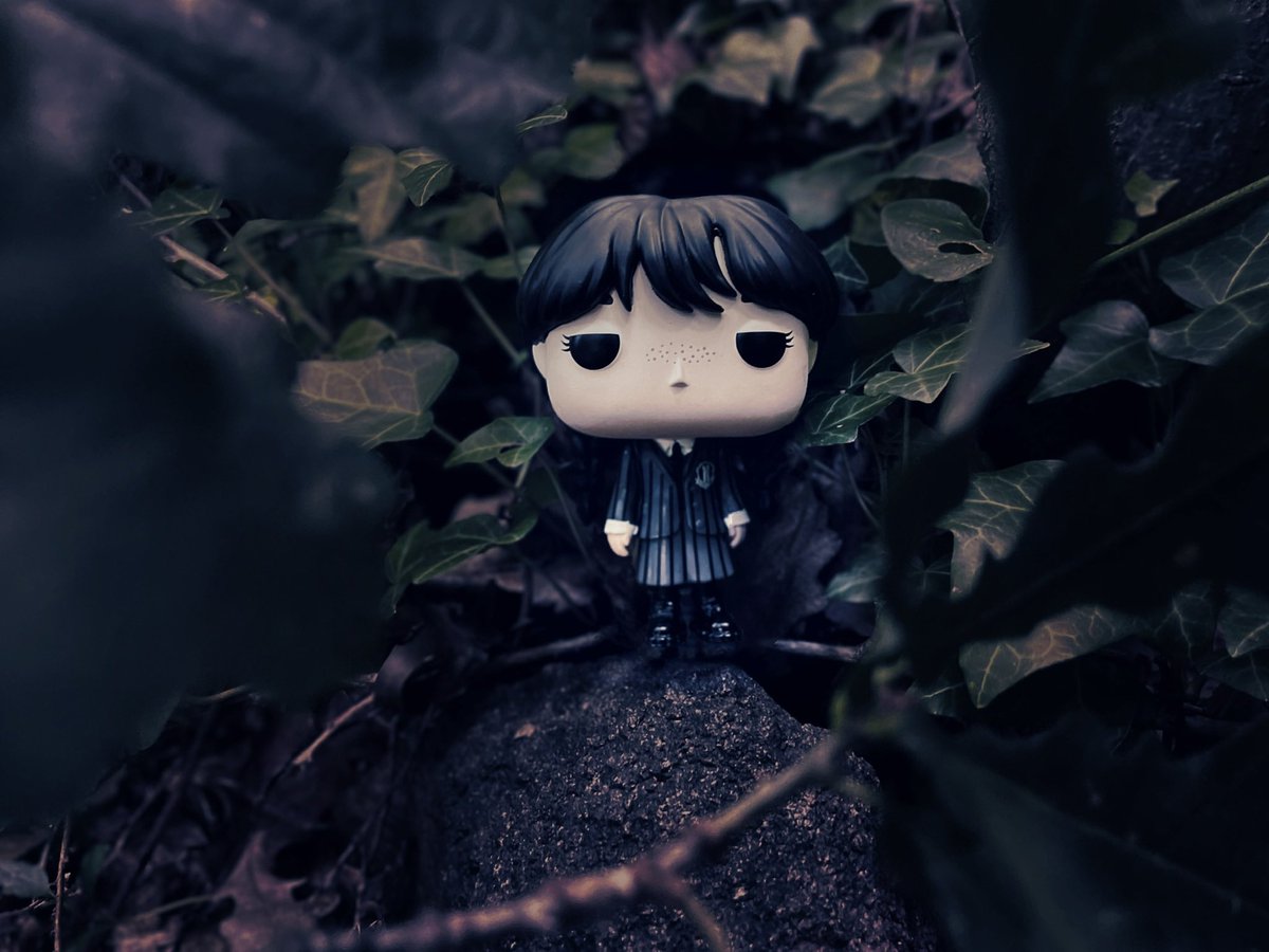 PopTartDU's tweet photo. PART 2: 👧🏻 Wednesday! Someone is watching you! 🖤
👑 @originalfunko
📚 #MyFunkoStory
🤠 #FOTW #FunaticOfTheWeek
#wednesday #wednesdayaddams #timburtonwednesday #timburtonswednesday #funkowednesday #funkowednesdayaddams #wednesdayfunko #wednesdayfunkopop #wednesdaynetflix https://t.co/9bqfWdzII3