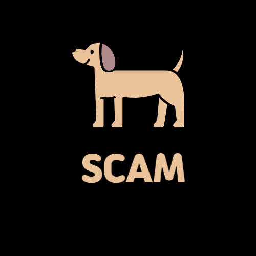 Scam_inu's tweet photo. Who wants some $SCAM tokens?
1. Follow @Scam_inu and retweet
2. Tag 3 friends
3. Drop your wallet adress! 🚀

#bonk #solana #scam #meme #token https://t.co/39ORDKVnBX