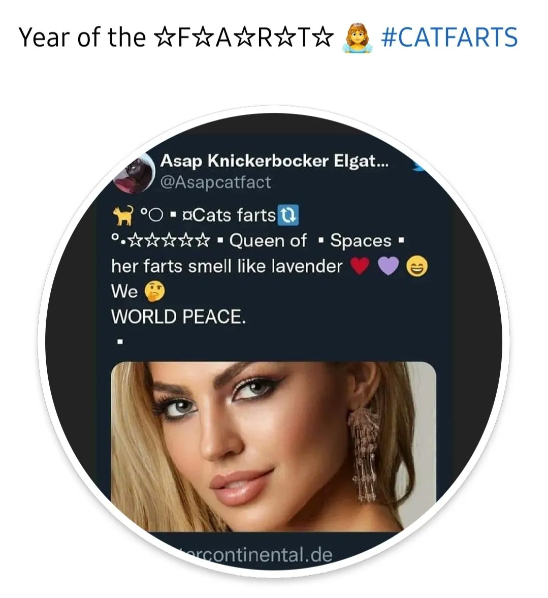elonMBabyPHOTOS's tweet photo. https://t.co/7aHwHB2EF2
Little #catfarts https://t.co/FvmyH7jKAQ