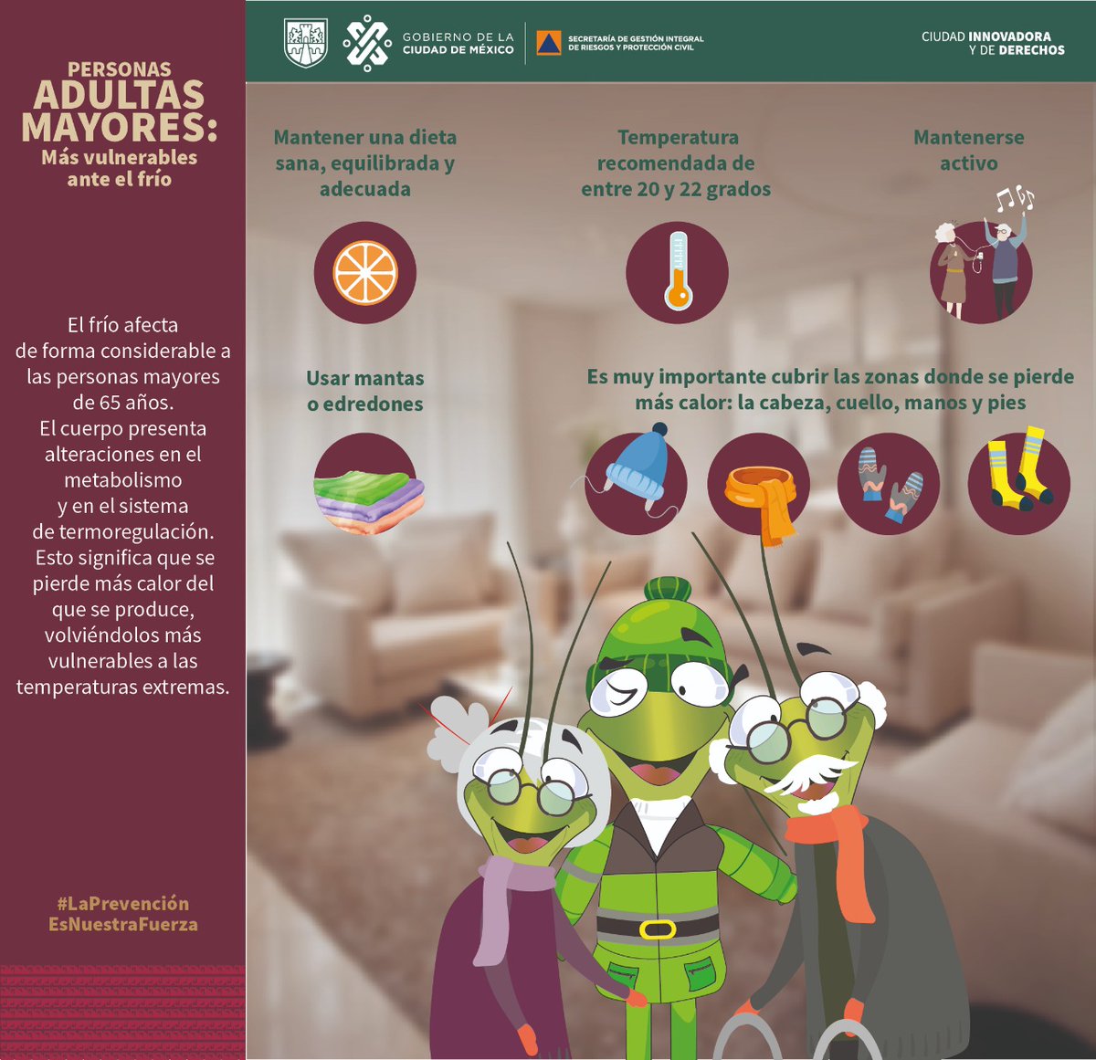 SGIRPC_CDMX's tweet photo. Conoce nuestra Guía para la prevención de riesgos en las personas adultas mayores.

Sigue las acciones para reducir riesgos en:

▶️Sismos
▶️Incendios
▶️Peligro de caídas

Descarga y consulta en: https://t.co/qugV2Zdxo7

#LaPrevenciónEsNuestraFuerza https://t.co/fbBURsh7KZ