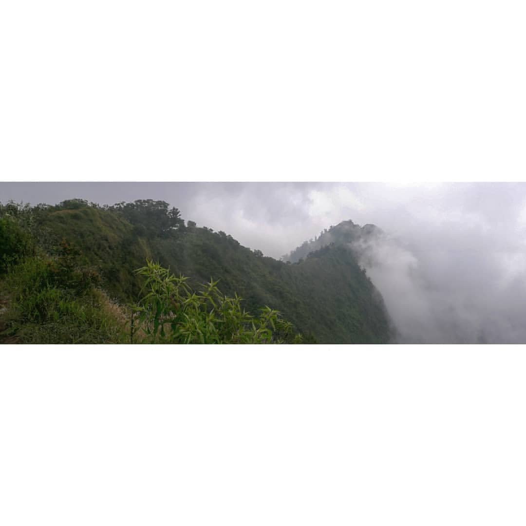 Tasorimatsu's tweet photo. "White is a heart" .
.
#PuncakMega #GunungPuntang #Bandung #indonesia #mountains #forest #outdoor #hiking #nature #NaturePhotography #snapshot #landscape #landscapephotography #portrait #portraitphotography https://t.co/7Yju26sMbw