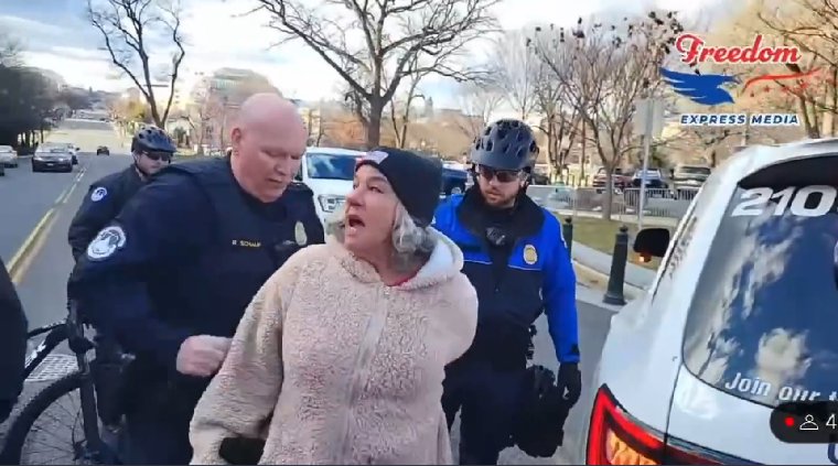 RutherfordRocks's tweet photo. How appropriate that Ashli Babbitt's mother was arrested today dressed up like a big fucking sheep. https://t.co/96LJkJudco