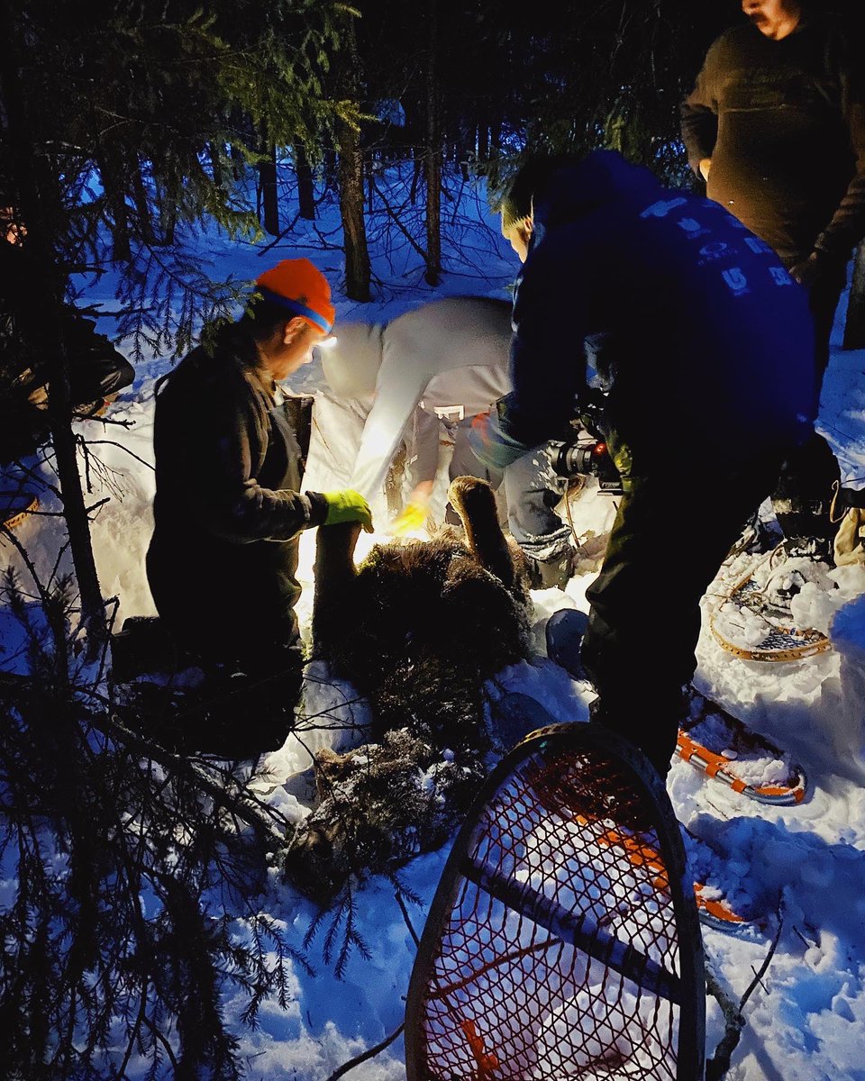 La saison 3 de Chuck et la Cuisine des Premiers Peuples commence avec une chasse à l’orignal l’hiver à Mashteuiatsh.

LUNDI 22:30 sur <a href="/APTNtv/">APTN</a> 

Season 3 of Chuck &amp; the First People’s Kitchen starts with moose hunting in the snow in Mashteuiatsh.

TUESDAY 6:30pm on <a href="/APTNtv/">APTN</a>