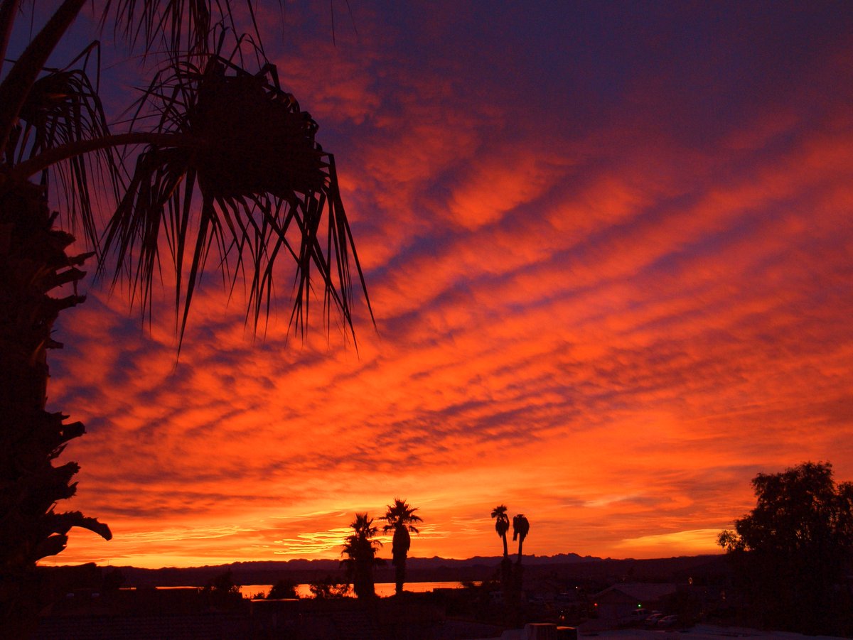 RebeccaAnnAZ22's tweet image. #dPSWeeklyChallenge and #dPSBackyardSafari