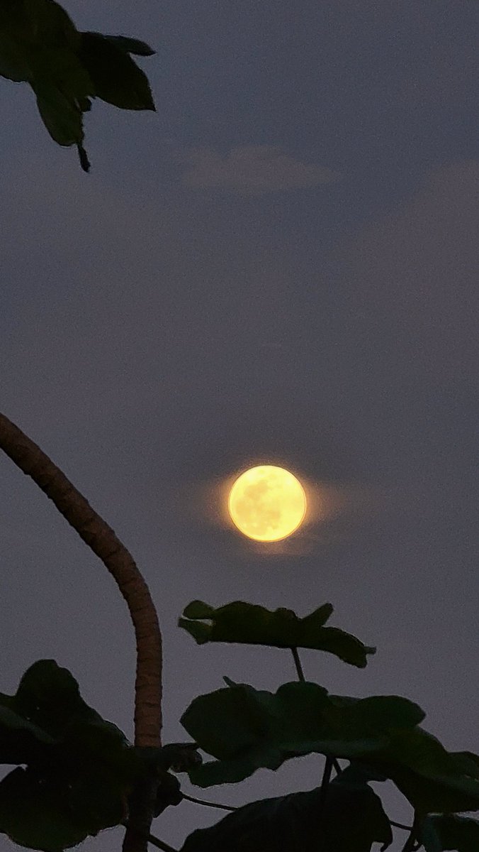 Hermosa Luna de Dia de Reyes 2023.<a href="/EliRobainaTV/">Elizabeth Robaina</a> <a href="/zamiratv/">Zamira Mendoza</a> <a href="/rcortestv2/">Roberto Cortes T2</a> <a href="/adamonzon/">Ada Monzón</a> <a href="/DeborahTiempo/">Deborah Martorell</a>