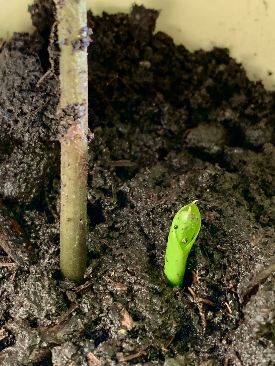 Class of 2023 and my favourite newbie