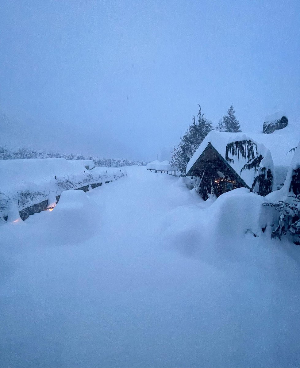 Do you remember how much snow we had a year ago today? Definitely had enough to make a snowman or two!! ☃️Throwback to Leavenworth’s #Snowpocalypse ❄️🥶

#IcicleRidgeWinery #LogHome #ThrowBack #WinterAdventure #SnowDay #SNOW #Winter #Peshastin #Leavenworth #WinterWonderland #PNW