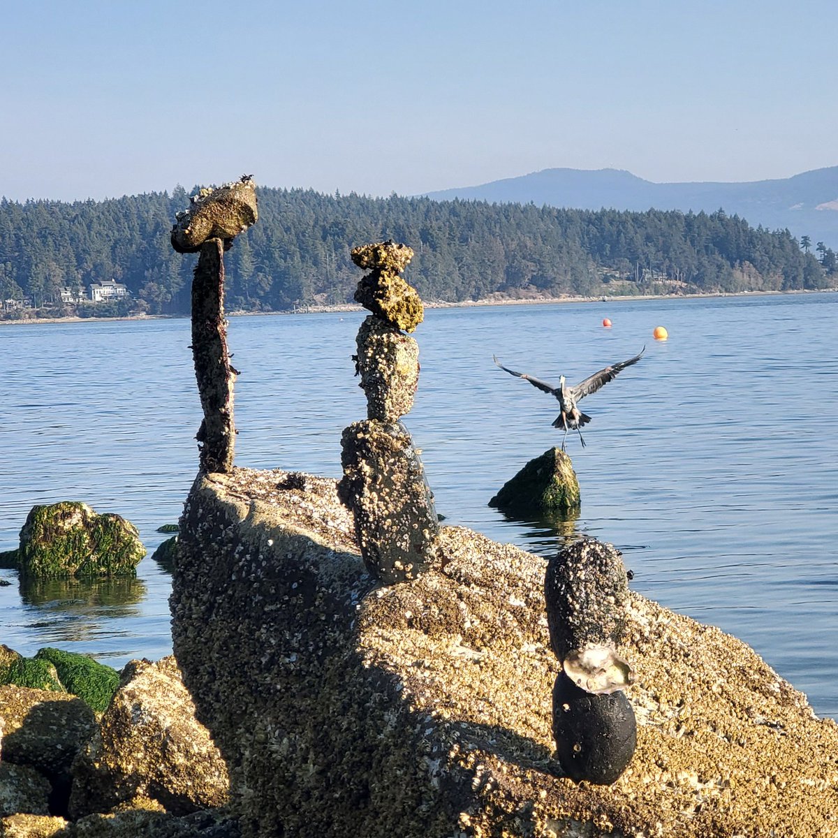 G. Paul Needham tweet media