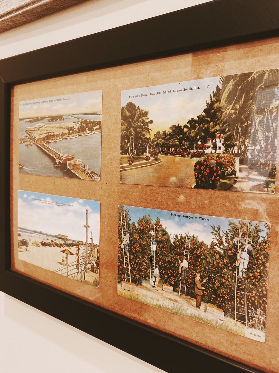 Hallie 🌿☁️ tweet media