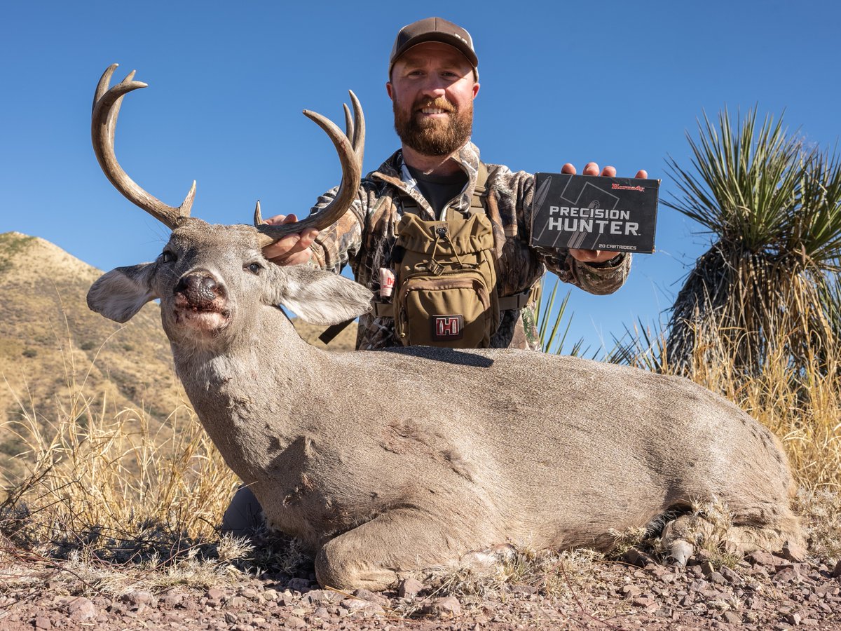 OUTDChannel's tweet photo. Please join us in congratulating Gregg Ritz of Hunt Masters and Judd Jarzynka of @TeamHornady Manufacturing on their Coues Deer success in Sonora, Mexico with Ward’s Outfitters.
#hunting #deer #deerhunting #coues #couesdeer #Sonora #Mexico #couesdeerhunt #outdoors https://t.co/w4ZVG9fL23