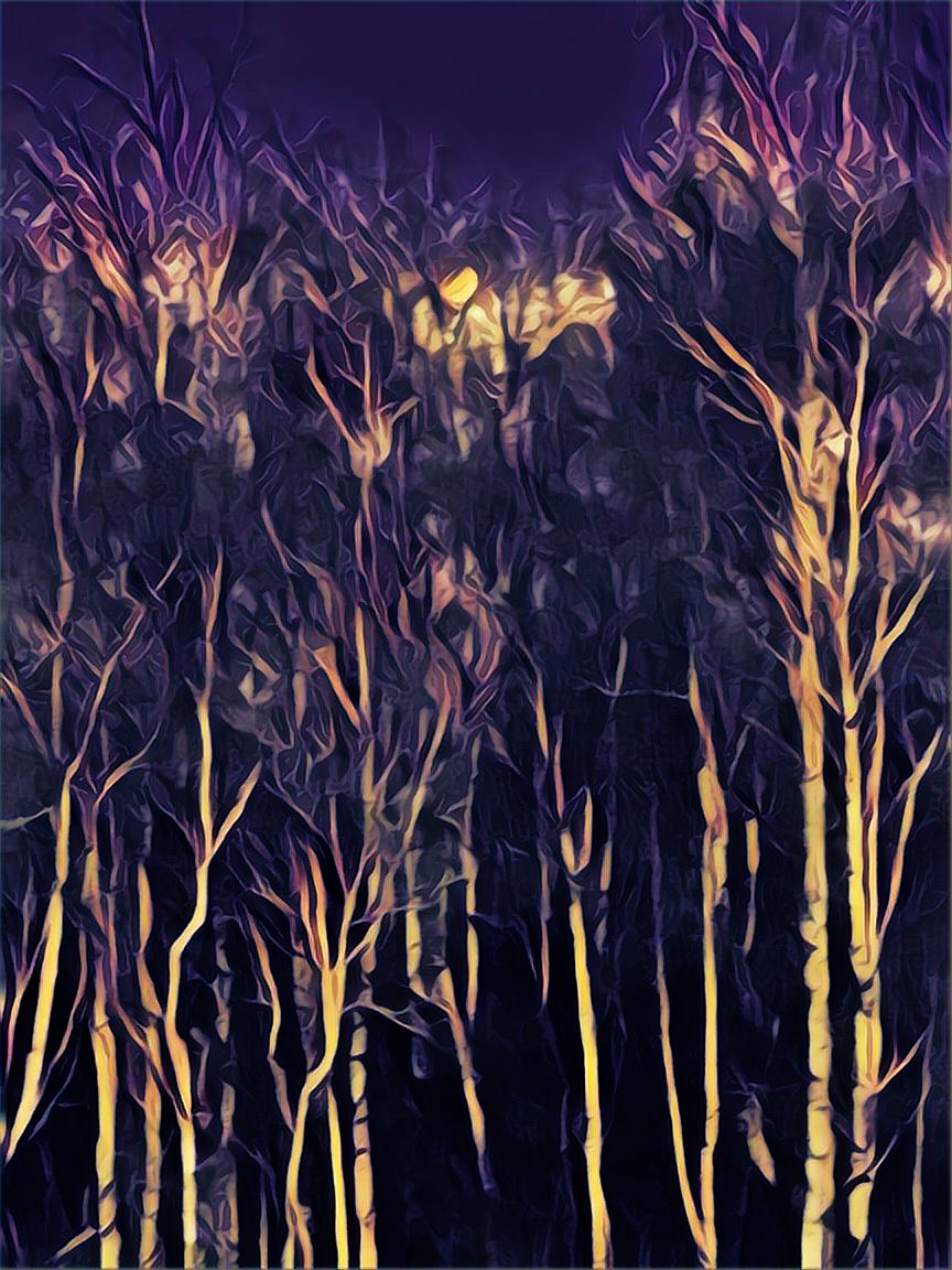 kizferguson's tweet photo. Wolf moon rising through the birches.
Augmented iPhone shot. #shotoniphone #augmentedreality #birch #WolfMoon #scotland #trees #birchtrees #januarymoon #fullmoon #moonrise https://t.co/sIqAK0sorh