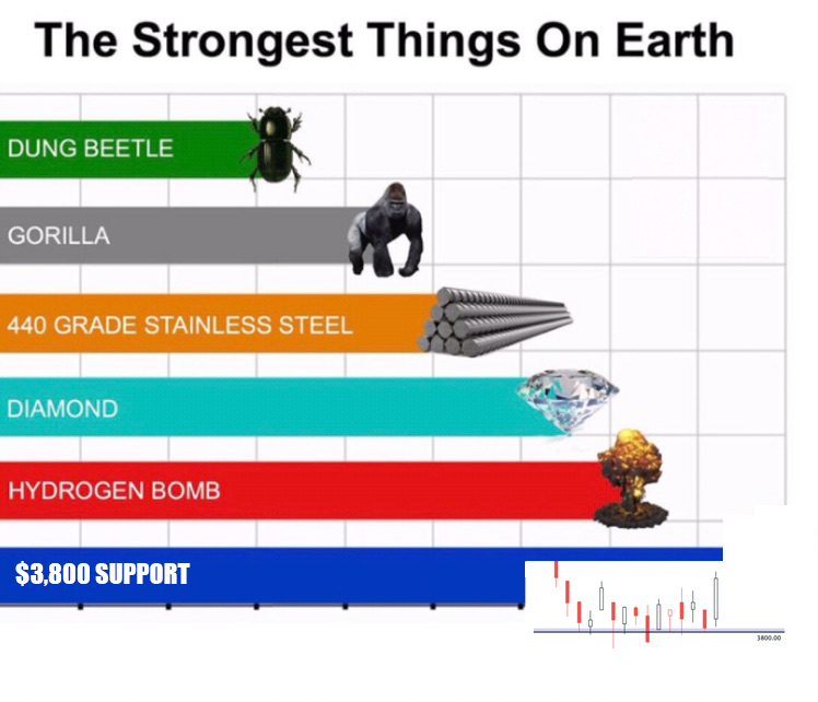 TrendSpider's tweet photo. True Story $SPY https://t.co/ImVpsegoDN