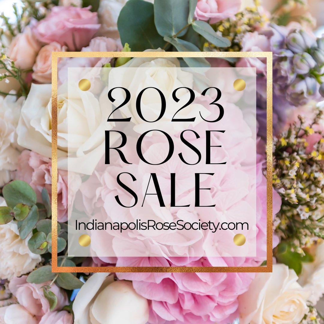 Annual rose sale… details indianapolisrosesociety.com/rose-sale/ #roses