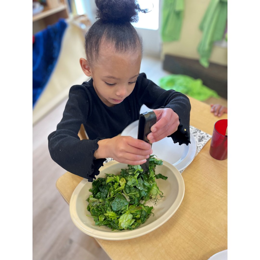 ClaytonLearning's tweet photo. We expanded the Clayton agrihood with the creation of the Roots and Shoots Garden. Today, we enjoyed a freshly made salad with greens from our first harvest. #untilwecangetoutside #SeedtoStomach #ClaytonCooks #HealthyFood4DenverKids #HFDK https://t.co/hWPJ1Ixqrq
