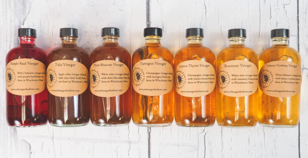 January events and a free gift for you! conta.cc/3Xf9wjF